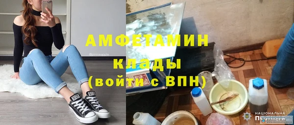 стаф Алзамай