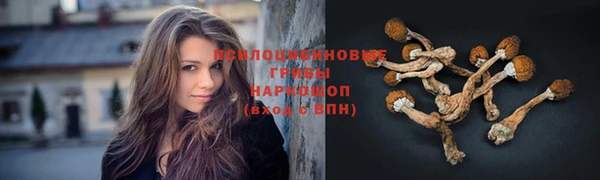 синтетический гашиш Алексеевка